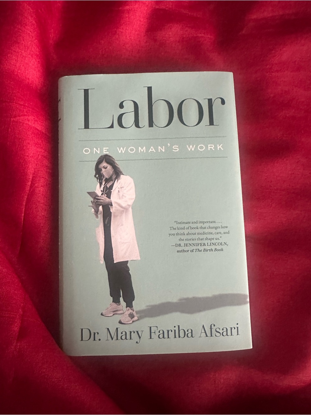 New! Labor: One Woman’s Work by Dr Mary Fariba Afsari (2026, Hardcover) - Picture 1 of 3